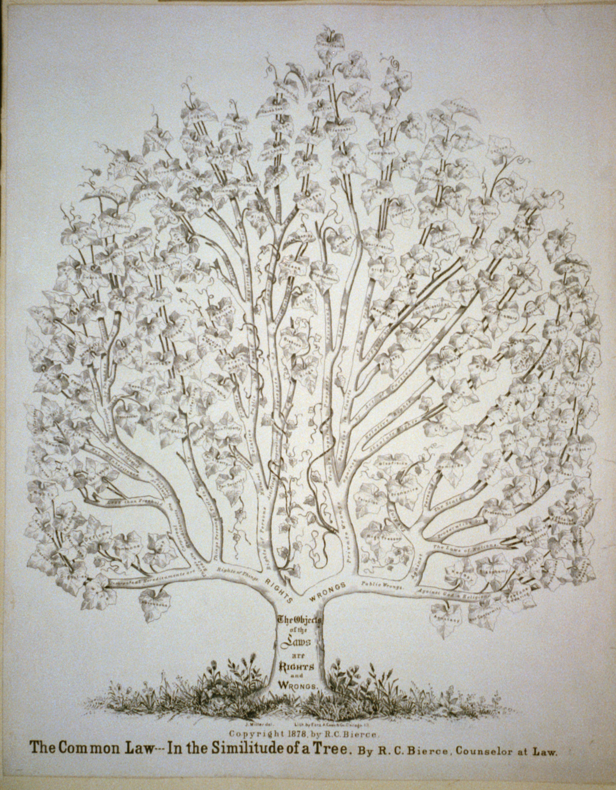 The common law in the similitude of a tree, c1878. — historic print
