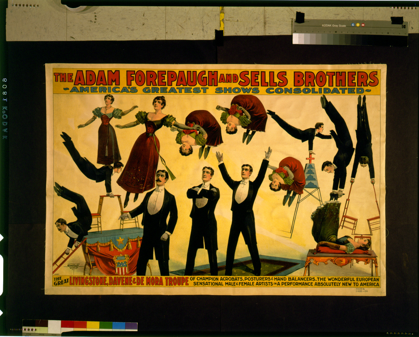 The Adam Forepaugh and Sells Brothers America's greatest shows consolidated--The great Livingstone, Davene & De Mora Troupe of champion acrobats, posturers, and hand balancers, c1898. — vintage poster