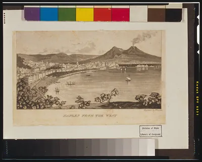 Naples from the west / J. Drayton.