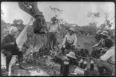 [Theodore Roosevelt, 1858-1919; lantern slide of Roosevelt's Brazil expedition, 1913, taken by his son Kermit]