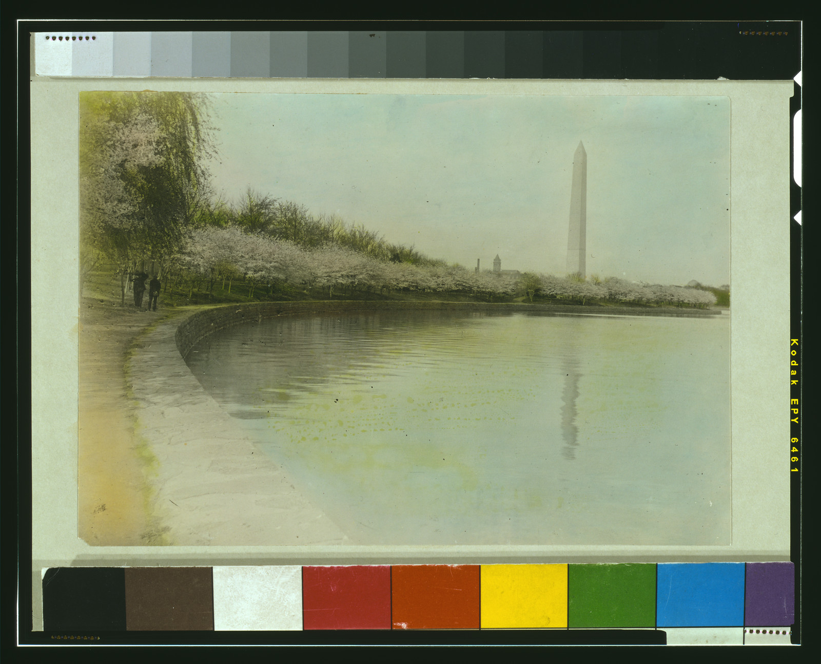 [View from Tidal Basin, with cherry blossoms, and Washington Monument in background, Washington, D.C.], c1920. — historic photograph