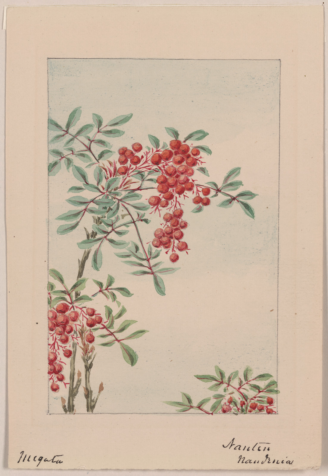 [Japanese drawing], 1750 — historic drawing