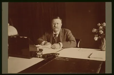 [Theodore Roosevelt, head-and-shoulders portrait, seated at desk, facing front]