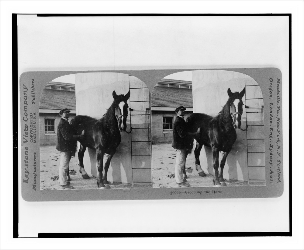 Grooming the horse, Meadville, Pa. : Keystone View Company, c1919 April 23. — historic photograph