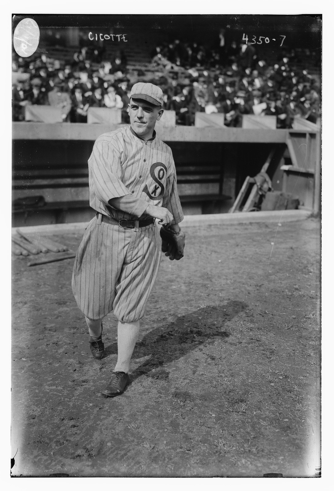 Cicotte, n/a — historic photograph