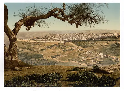 From Mount Scopus Jerusalem Holy Land