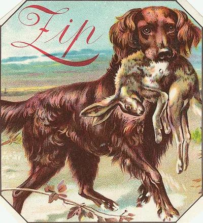 Dog carrying a hare, chromolithograph label with script name 'Zip'