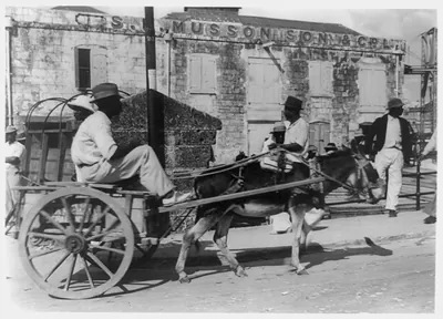 A Barbados donkey cart