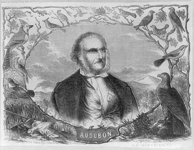 [John James Audubon, 1785-1851, head-and-shoulders portrait, facing right in oval memorial portrait fringed by bird vignettes]