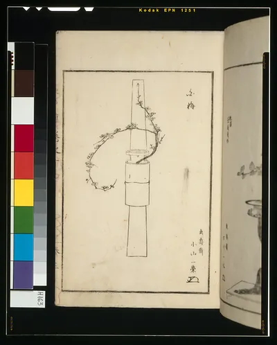 Plum branch sketch beside a bamboo vase, Japanese book page