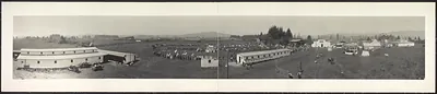 Tillamook County Fair, Oregon, 1915
