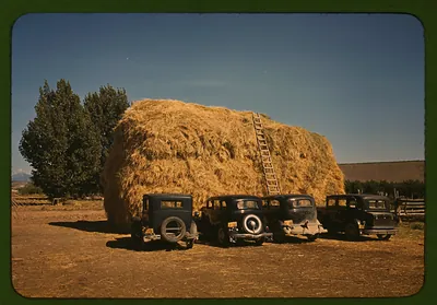 Hay stack and automobile of peach pickers, Delta County, Colorado