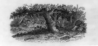 [Horsemen and hounds chasing fox across English countryside]