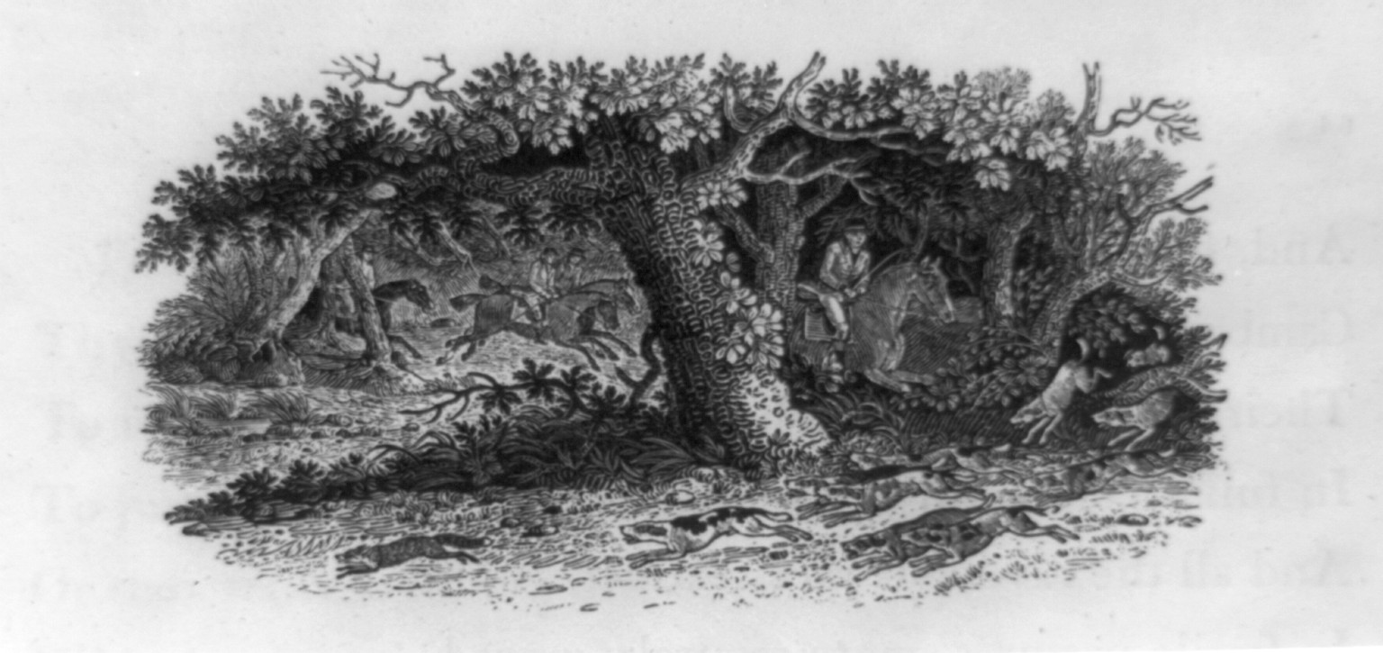 [Horsemen and hounds chasing fox across English countryside], 1796 — antique engraving