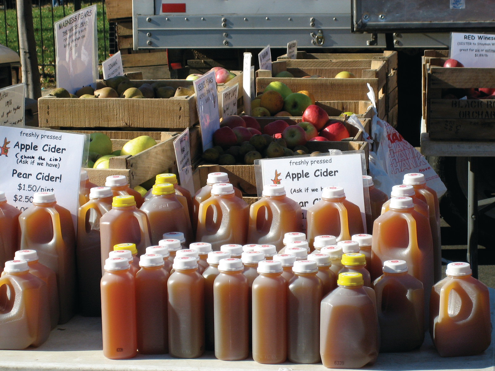 Jugs of apple cider and pear cider at a market stall — historic image