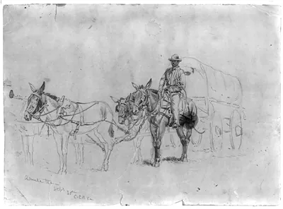 Study of a mule team and wagon, with driver