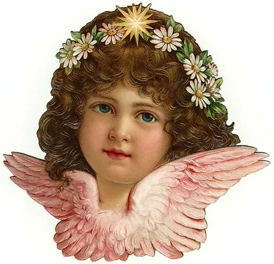 Victorian chromolithograph of a curly-haired angel with pink wings