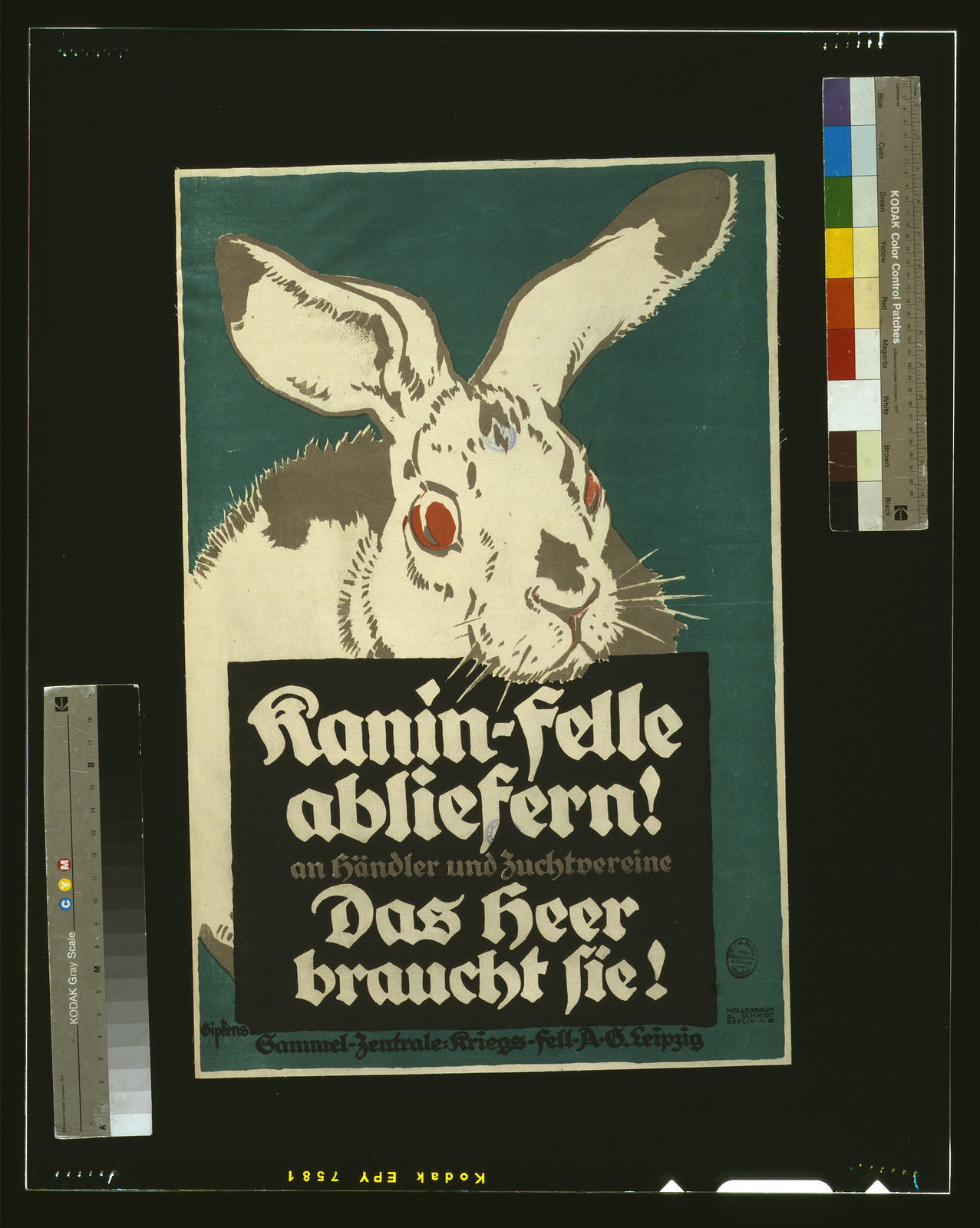 Kanin-Felle abliefern! Das Heer braucht sie!, 1917 — historic image