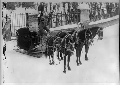 Horse drawn sledge, in Russia