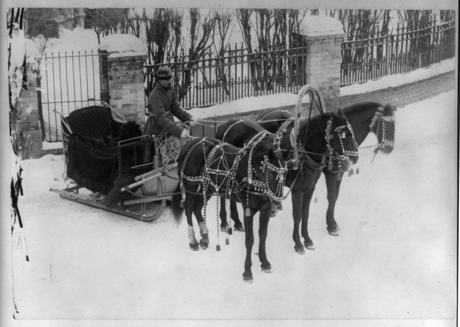Horse drawn sledge, in Russia, [between 1900 and 1923] — historic photograph