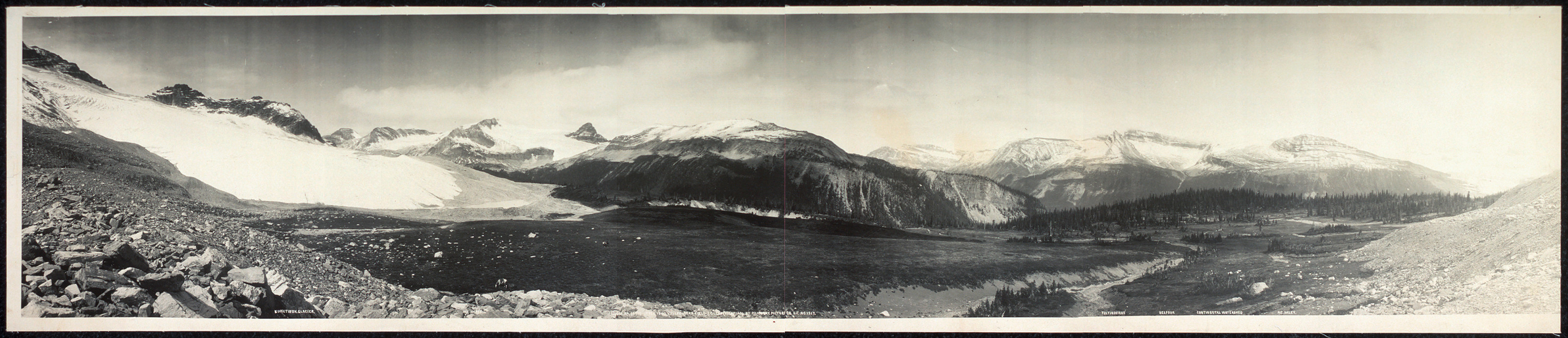 Little Yoho Valley Field, B.C, Canada, 1907, 1907 — historic image