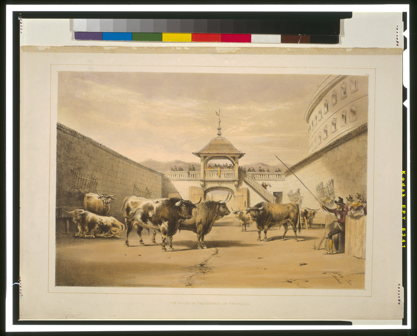 The bulls in the corral of the plaza / Lake Price, Madrid., [between 1860 and 1870] — antique lithograph