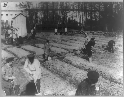 The Romanovs working in the garden at Tsarskoe Selo, Russia, 1917