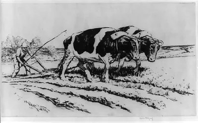 [Spring plowing]