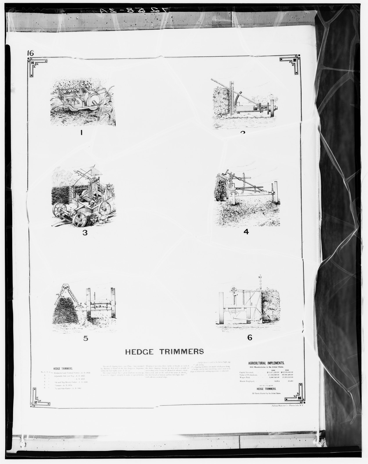Hedge trimmers plate from an agricultural implements catalog — historic image