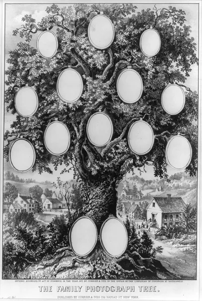 The family photograph tree