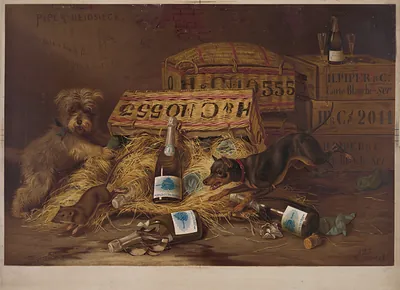 [Two dogs chasing mouse through open case of champagne]