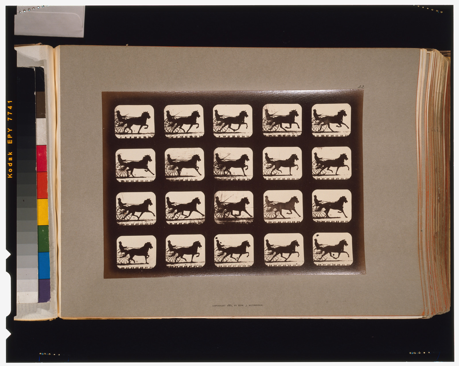 Horses. Pacing, [San Francisco] : Muybridge, c1881. — historic photograph