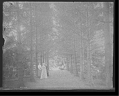 [The Firs, under the firs, New Baltimore, Mich.]