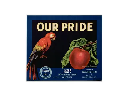 Our Pride crate label with parrot and red apple