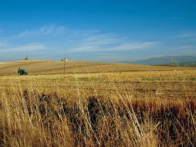 Tractor goldmund100