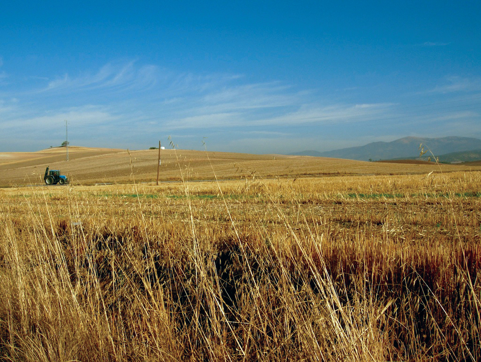 Tractor goldmund100 — historic image