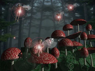 Fantasy Fairies085