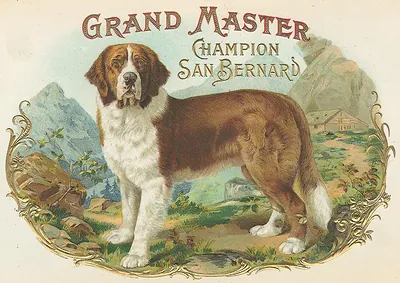 Grand Master Champion San Bernard cigar box label
