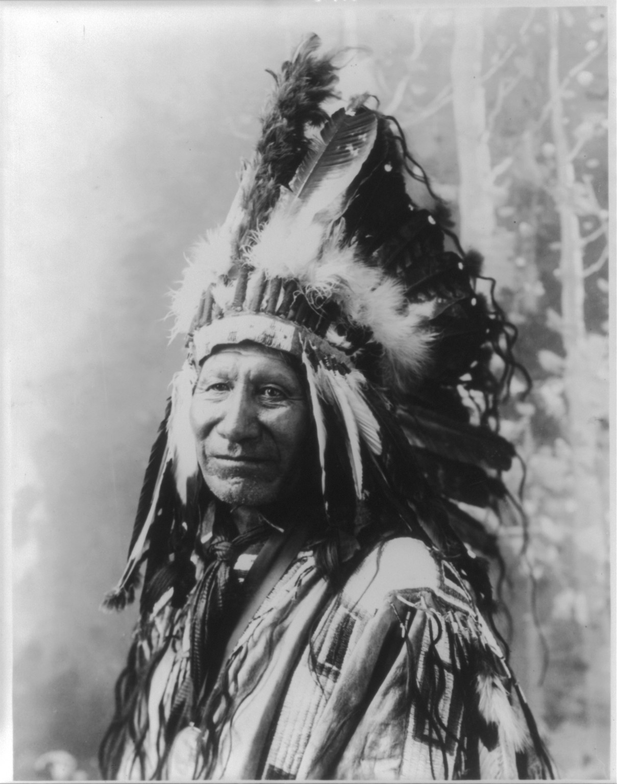 Chief American Horse, [c1900]. — historic photograph
