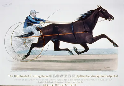 The celebrated trotting horse Gloster by volunteer, dam by Stockbridge Chief: Winner of the first prize in the $6,000 purse, for 2:20 horses, at Rochester, N.Y. Aug. 14th 1874