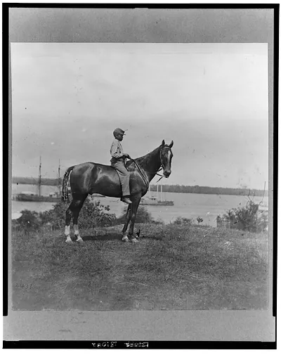 Gen. Rawlin's horse taken at Cold Harbor, Va.