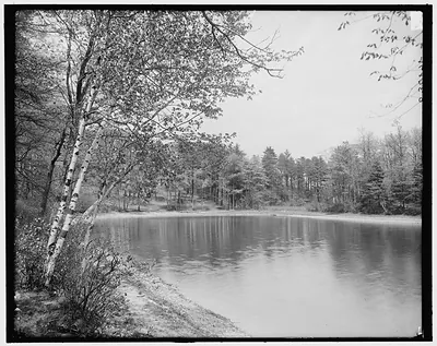 [Thoreau's cove, Lake Walden, Concord, Mass.]