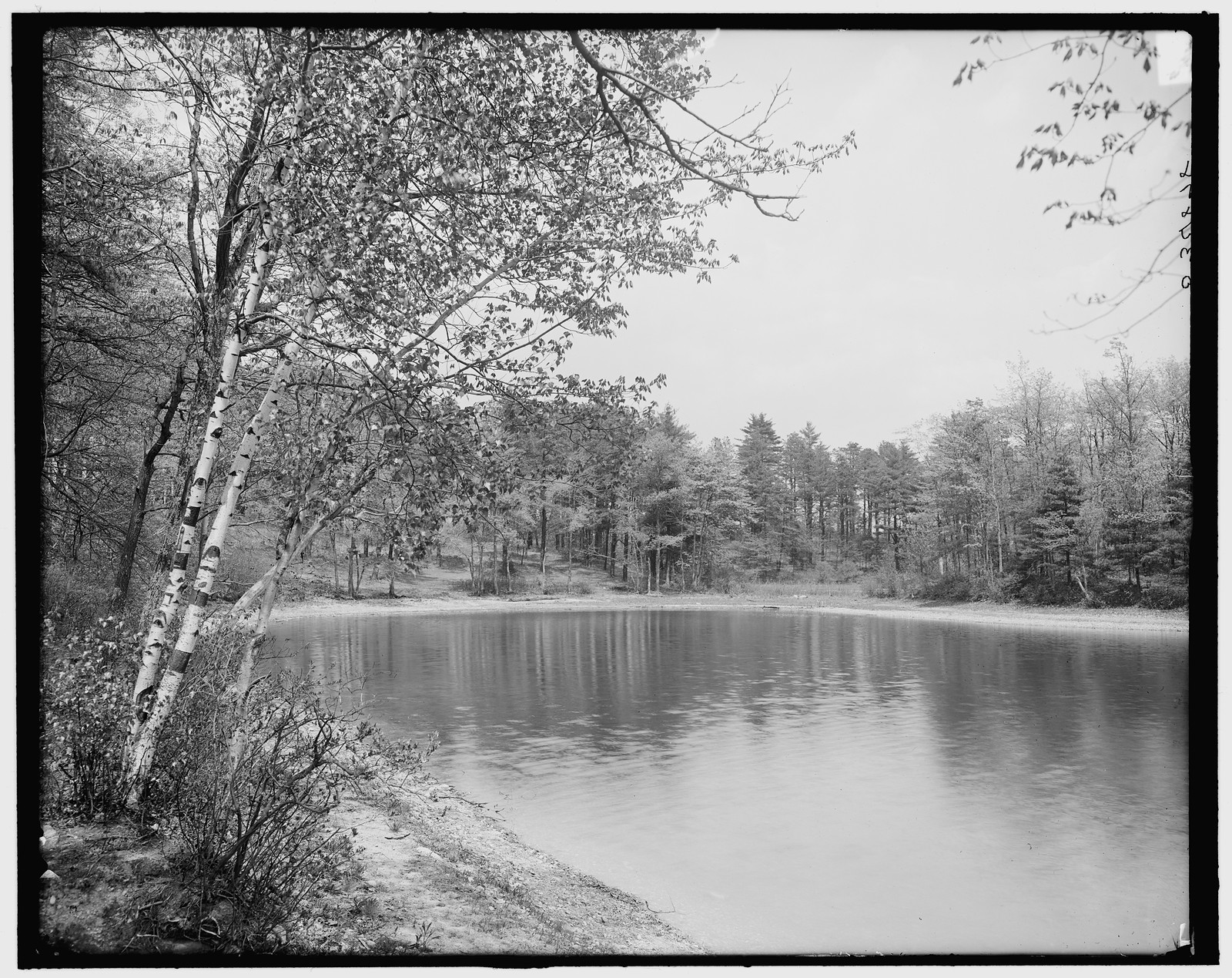 [Thoreau's cove, Lake Walden, Concord, Mass.], [between 1900 and 1910] — historic photograph