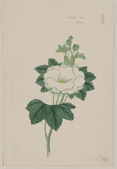 [Japanese drawing]