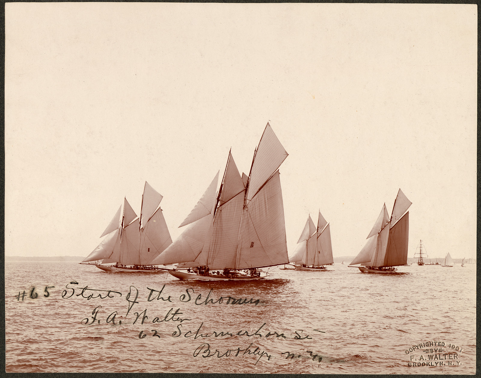 Start of the schooners / F. A. Walter, 62 Schermerhorn St., Brooklyn, N.Y., 1901 — historic image