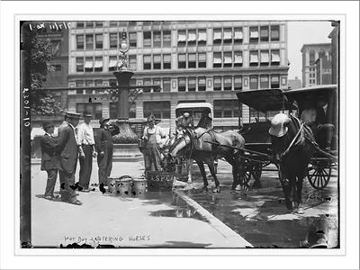 Hot day--watering horses