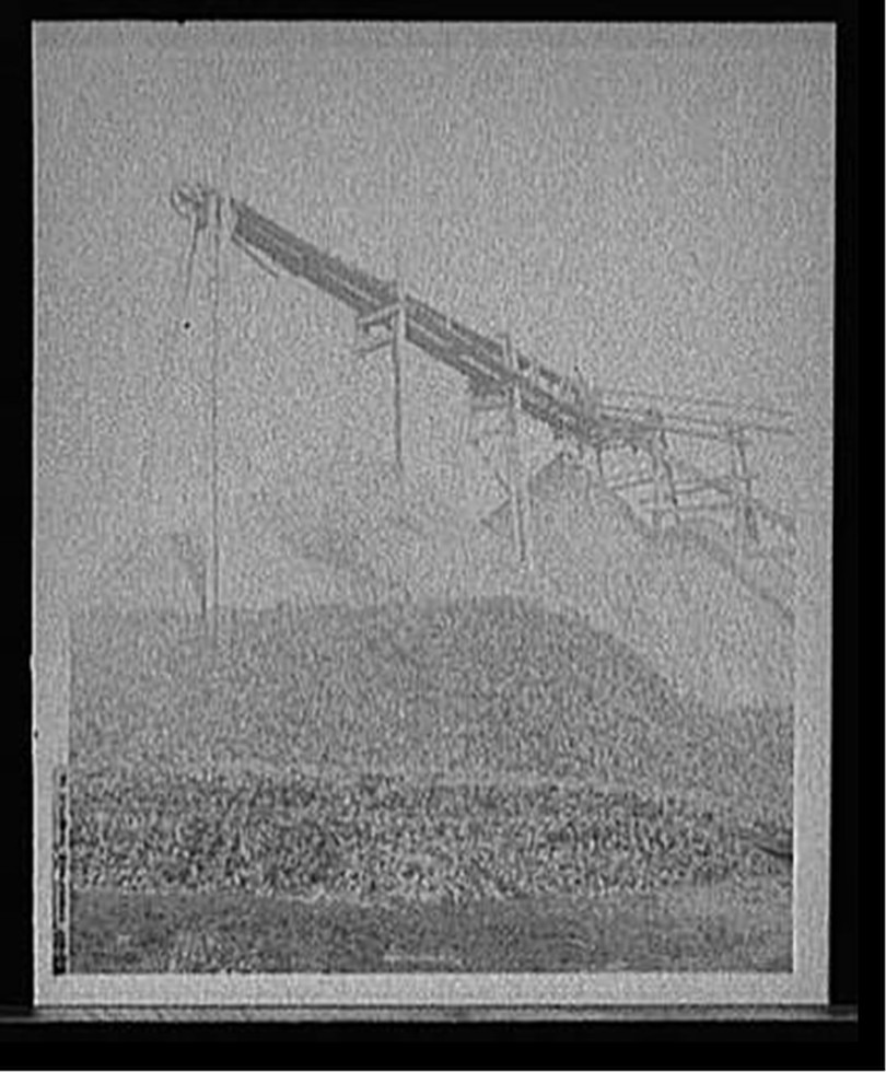 Oyster pile, Hampton, Va., [between 1900 and 1920] — historic photograph