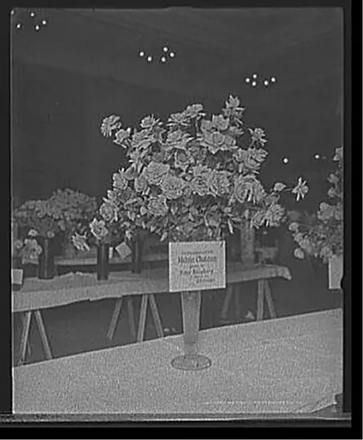 [Madame Chatenay roses, American Carnation Society Exhibition, Detroit, Mich.]