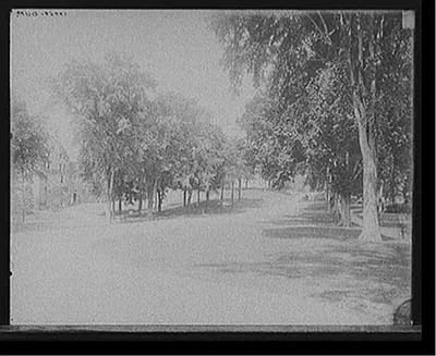 [Campus and Main Street, Williams College, Williamstown, Mass.]