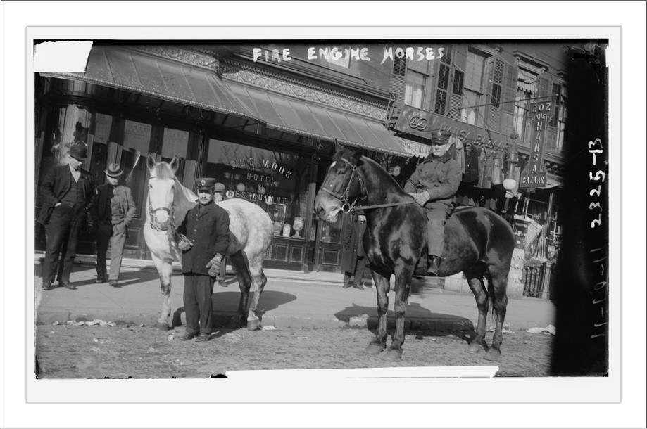 Fire engine horses, n/a — historic photograph